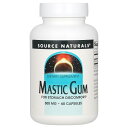 Source Naturals マスティックガム エキス  ソースナチュラルズ マスチックガム Masticgum Extract サプリ サプリメント カプセル 500mg 60粒