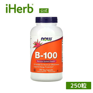 NOW Foods ビタミンB-100 【 iHerb アイハーブ 公式 】 ナウフーズ ビタミンB群 サプリ サプリメント ビタミン ビタミンサプリ ビタミンB複合体 B1 B2 B3 ナイアシン ビオチン 葉酸 植物性 ベジカプセル 250粒