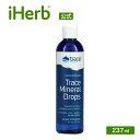 Trace Minerals トレースミネラルドロップ 【 iHerb アイハーブ 公式 】 トレースミネラルリサーチ コンセントレース トレースミネラル 100％ 天然 微量ミネラル サプリメント サプリ リキッド 液体 237ml