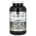 Amazing Nutrition レシチン 【 iHerb アイハーブ 公式 】 アメージング ニュートリション 大豆由来 リン脂質 コリン サプリメント サ...