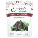 【最大P20倍★4/20 0:00~23:59】Organic Traditions ブラックマルベリー オーガニック 【 iHerb アイハーブ 公式 】 オーガニックトラディションズ 有機 黒桑 桑の実 黒桑の実 黒 マルベリー ビタミンC スーパーフード ドライフルーツ 227g