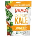 Brad 039 s クランチーケール 【 iHerb アイハーブ 公式 】 ブラッズ ブラッド プラントベース Plant Based オーガニック 有機 ケールチップス ケール ヒマワリ レモン ニンジン トマト チーズイットアップ 57g