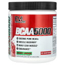 EVLution Nutrition BCAA 5000 【 iHerb アイハーブ 公式 】 エボリューションニュートリション 分岐鎖アミノ酸 アミノ酸 ロイ...