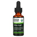 Gaia Herbs オリーブリーフ オーガニック 【 iHerb アイハーブ 公式 】 ガイアハーブ 有機 オリーブ リーフ 葉 ハーブ エキス サプリメント...