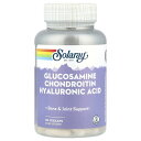 Solaray グルコサミン コンドロイチン ヒアルロン酸 【 iHerb アイハーブ 公式 】 ソラレー サプリメント サプリ ベジカプセル 90粒