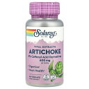 Solaray アーティチョークエキス 【 iHerb アイハーブ 公式 】 ソラレー アーティチョーク アーティチョーク葉 エキス アザミ カフェオイル酸 サ...