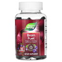 Nature's Way ブレイン フューエル 【 iHerb アイハーブ 公式 】 ネイチャーズウェイ ブドウ エキス ビタミンB6 ビタミンB12 ビタミンB ビタミン B6 B12 サプリメント サプリ グミ グレープ味 60粒(4)