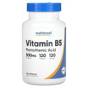 Nutricost ビタミンB5 【 iHerb アイハーブ 公式 】 ニュートリコスト ビタミンB ビタミン B5 B ビタミンB群 ビタミン類 ビタミンサプ...