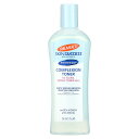 Palmer's コンプレクション トナー 【 iHerb アイハーブ 公式 】 パーマーズ スキンサクセス 化粧水 ベータヒドロキシ ティーツリー ハマメリス...