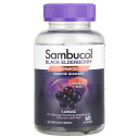 Sambucol ブラック エルダーベリー イミューン サポート 【 iHerb アイハーブ 公式 】 サンブコル サンブカス セイヨウニワトコ エキス ビタミ...