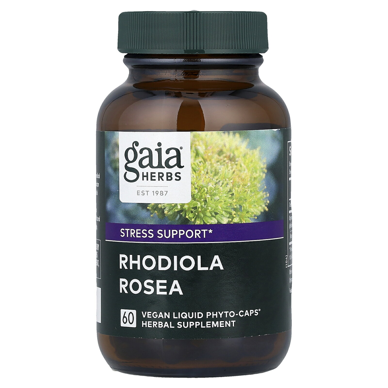 Gaia Herbs イワベンケイ 【 iHerb アイハーブ 公式 】 ガイアハーブ ロディオラ ロゼア ハーブ エキス サプリメント サプリ フィトカプセル ヴィーガンカプセル 60粒 iherb-official-10010861 iHerb サンプル画像3