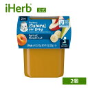 Gerber 離乳食 アプリコット ミックスフルーツ 【 iHerb アイハーブ 公式 】 ガーバー ベビー フード 赤ちゃん 乳幼児 幼児 セカンドフーズ 離...