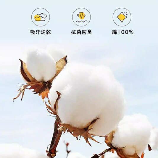 �ݥ������ �٥ӡ� ���å� �Ҷ� Ĺµ�ݥ� ĹµT����� ���åȥ��� �٥ӡ��� �Ҷ��� �ˤλ� ���λ� ���ձ� �ݰ�� ������� �İ��� �۴�®�� �����ɽ� ���λ� �� ���åȥ� 100�� ����ե���� �����奢�륷��� ������ ̵�� �ܡ����� 90 100 110 120 130 ���� �ղ�