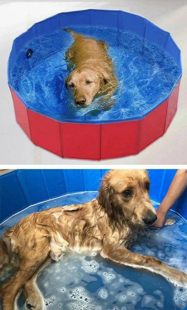 iHOLONのペットプール 空気入れ不要 子供ペット 犬用 バスタブ ビニールパープ 折り畳み ビニールプール ベラダ ペット用バスグッズ 子供用 プー｜アングル2