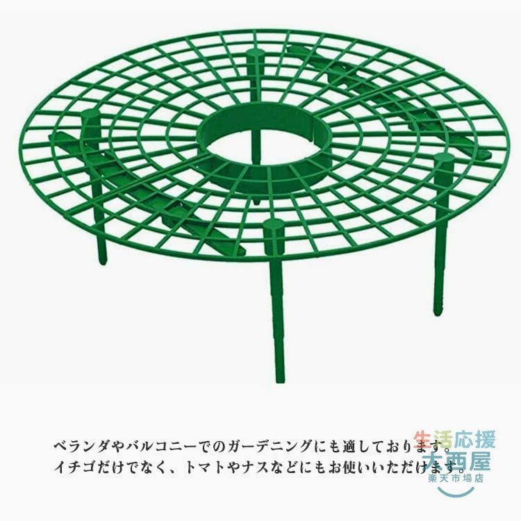 【楽天スーパーセール】いちご支え イチゴ棚 プランター棚 10個セット 苺苗棚 栽培...