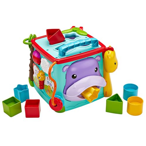 եå㡼ץ饤(fisher price) Х󥬥롦顼˥󥰥ܥå 6~ΰ顦Ѹ졦ץ쥼DNY97