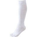 ZETT(ゼット) 野球 ソックス(ストッキング) アンダーソックス 5本指タイプ 3足組 1セット ホワイト(1100) 24~27cm BK035L 靴下(くつした) ホワイト(1100) 24-27cm