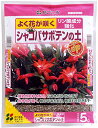 花ごころ シャコバサボテンの土 5l