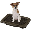 アイリスオーヤマ 犬 トイレ メッシュカバー付 フチもれしにくいトレーニングペットトレー レギュラー 銀イオン配合 抗菌 チャコールグレー
