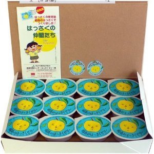 因島産八朔の果肉入りゼリー78g×24個