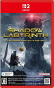Shadow Labyrinth(シャドウラビリンス)Nintendo Switch 2 Edition -Switch2