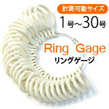 リングゲージ リングサイズゲージ プロ仕様,指輪 リング サイズ 計測 測定,ピンキーから親指 足指まで【あす楽対応】【クロネコゆうパケット対応】 リングゲージ リングサイズゲージ プロ仕様,指輪 リング サイズ 計測 測定,ピンキーから親指 足指まで【あす楽対応】【クロネコゆうパケット対応】