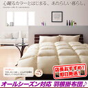 掛け布団 シングル 軽い 羽根布団 オールシーズン 黒,羽根...