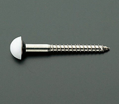 TOTO 小便器用関連器具 【TA1S】 キャップ付木ねじ(63mm)〔HG〕