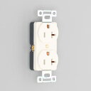 Яアメリカン電機 【7210GD-IV】白色 複式埋込コンセント 平刃形 20A 接地形2P 125V (NEMA 5-20)