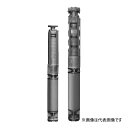 ###テラル ポンプ【80MSUS6-55.5-6】50Hz 深井戸水中ポンプ 井戸径150mm(6インチ) ステンレス鋳物製 三相200V 5.5kW MSUS型〔HE〕(4)