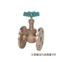 東洋バルヴ/株式会社キッツ【150-BDF-N 50A】2B 青銅バルブ (R-PTFE) ジスク入グローブバルブ 150 フランジ形〔HH〕(4)