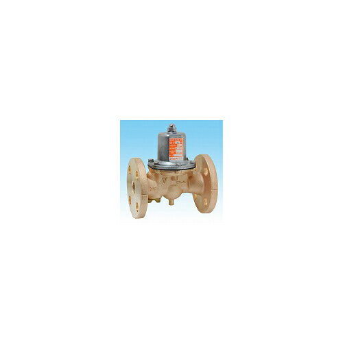 襷GD-27-NE-50A䲹帺 䲹塦켡 1.0MPa ե ľư Ƥӷ50A(2)HG