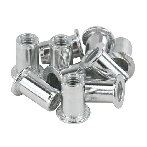 ∀藤原産業 【5M-25】SK11 ナットリベット 10入 (4977292217200)