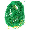 ∀藤原産業 【セフティー3 園芸ネット 目合10cm 90cmX270cm】園芸ネット (4977292663359)