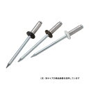 ∀ロブテックス/エビ 【HCNSA53BP】ブラック ブラインドリベット(カラータイプ) 45本入 (4963202076678)(4)