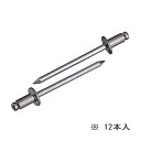 ∀ロブテックス/エビ 【NSA616MP】ブラインドリベット(丸頭) エコパック アルミボディ スティールマンドレル 12本入 (4963202096034)(4)