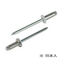 ∀ロブテックス/エビ 【CNSA52WMP】ホワイト ブラインドリベット(カラータイプ) エコパック アルミボディ スティールマンドレル 55本入 (4963202097703)(4)