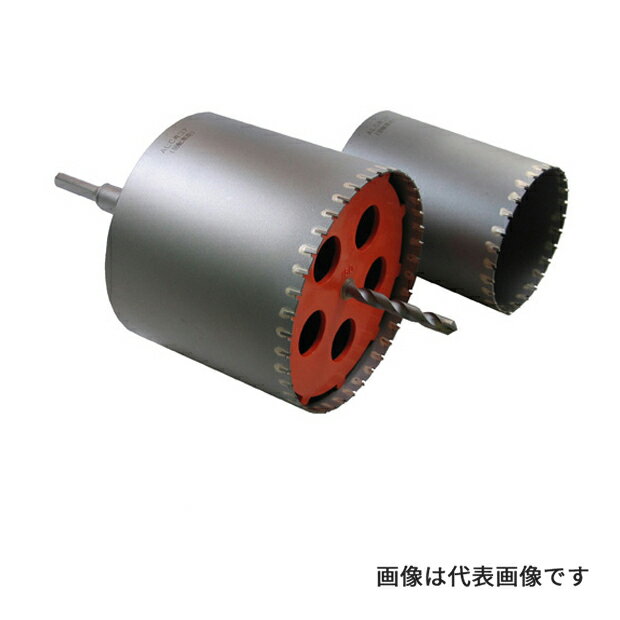 Яミヤナガ/MIYANAGA 【PCFALC1R】ポリクリック 扇扇(ファンファン)コア ALC用キット SDSプラスシャンク (4957462129564)