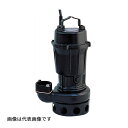 ####寺田 テラダポンプ 【TCN6D-675L】水中汚水ポンプ TCN-D形 (非自動ノンクロッグタイプ・着脱装置付) 60Hz 口径80mm 出力7.5kW 4極 受注生産〔FJ〕(4)