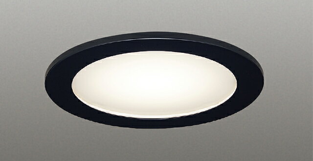 β東芝 照明器具【LEDD85911(K)】LEDダウンライト LEDダウンライト ランプ別売 ｛J2｝