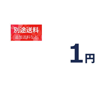 『1円分の別途追加料金』追加料金等の別途追加料金専用ページ【1円】