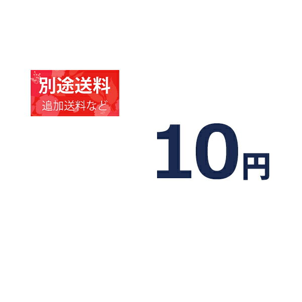 『10円分の別途追加料金』追加料金等の別途追加料金専用ページ【10円】