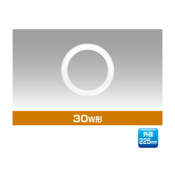 ¥楢ȥ졼ɡYRS10WH-225-W2/Lۥ饤 30W饤LED 10W ŵ忧(...