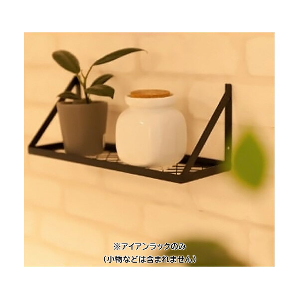 ####アイオ産業 【TK-MR】TKシリーズ アイアンラック 受注生産〔GC〕