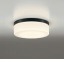 βオーデリック/ODELIC 【OW269018LR】エクステリア ポーチライト 防雨・防湿型 高演色LED 電球色 ねじ込式 LEDランプ 黒色