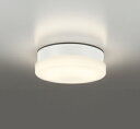 βオーデリック/ODELIC 【OW269039LR】エクステリア ポーチライト 防雨・防湿型 高演色LED 電球色 ねじ込式 LEDランプ 白色