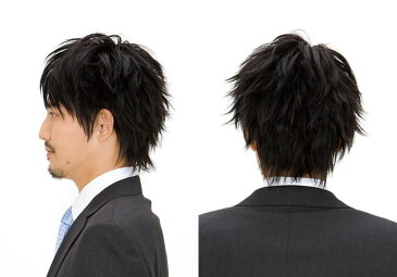 専用ソフトネットとの併用で医療用としてもおすすめ!【メンズウィッグ レビューを書いてWIGケアセットGET♪】ラパンドアールウイングショート5765