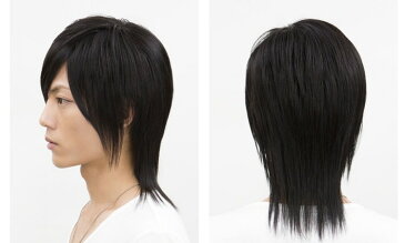 専用ソフトネットとの併用で医療用としてもおすすめ!【メンズウィッグ レビューを書いてWIGケアセットGET♪】ラパンドアールシェイドロングウルフ 3481