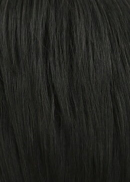専用ソフトネットとの併用で医療用としてもおすすめ!【メンズウィッグ レビューを書いてWIGケアセットGET♪】ラパンドアールシェイドロングウルフ 3481
