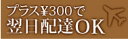 【航空便オプション】 関東地区翌日配達